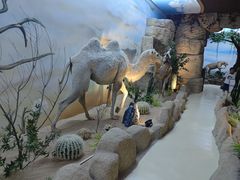 -西霞口神雕山野生动物世界