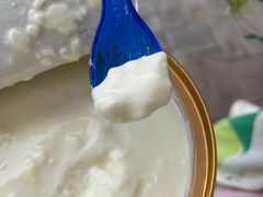 -德禄酸奶(莫家街店)