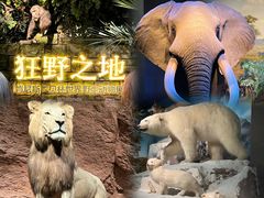 -浙江自然博物院(杭州馆)
