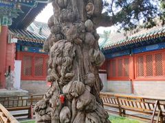 景点-孔庙和国子监博物馆