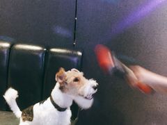 -泡沫BUbbLE量贩式KTV(金沙江路店)