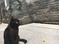 -老屋咖啡