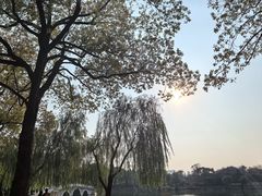 -武汉动物园