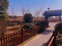 -盐城丹顶鹤湿地生态旅游区