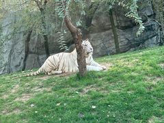 -北京野生动物园