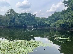 -荔湾湖公园