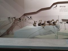 -武汉园博园(武汉自然博物馆)