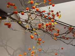 -好灶头妈妈菜·柴火灶台鱼·千岛湖土菜地标美食