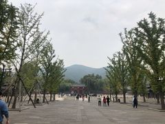 -晋祠公园