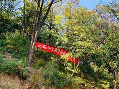 -鬼笑石后山停车场