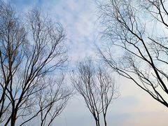 -野鸭湖国家湿地公园