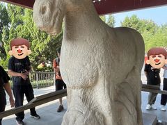 -茂陵博物馆