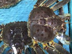 -渔民新村(番禺总店)