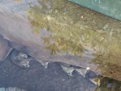 -泉州海丝野生动物世界