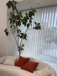 -WENDY·温迪皮肤管理