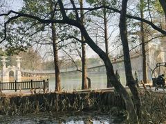 -东湖落雁景区