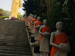 -西双版纳勐泐文化旅游区