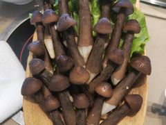 -享月汤皇·海鲜小火锅·聚会(曲江创意谷店)