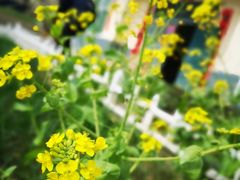 -柞水乾佑红门家菜