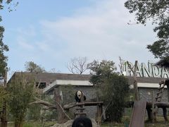 -武汉动物园
