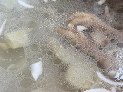 -润园四季椰子鸡火锅(南山海岸城店)