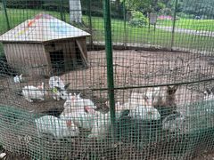 -杭州香格里拉·香宫中餐厅