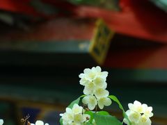 -潭柘寺景区