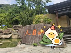 -天目山大树王景区
