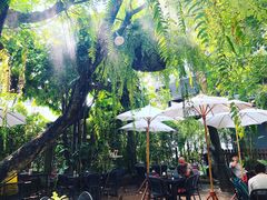 -Fern Forest Cafe
