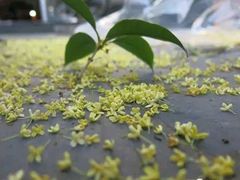 -大玩家超乐场(高新万达店)