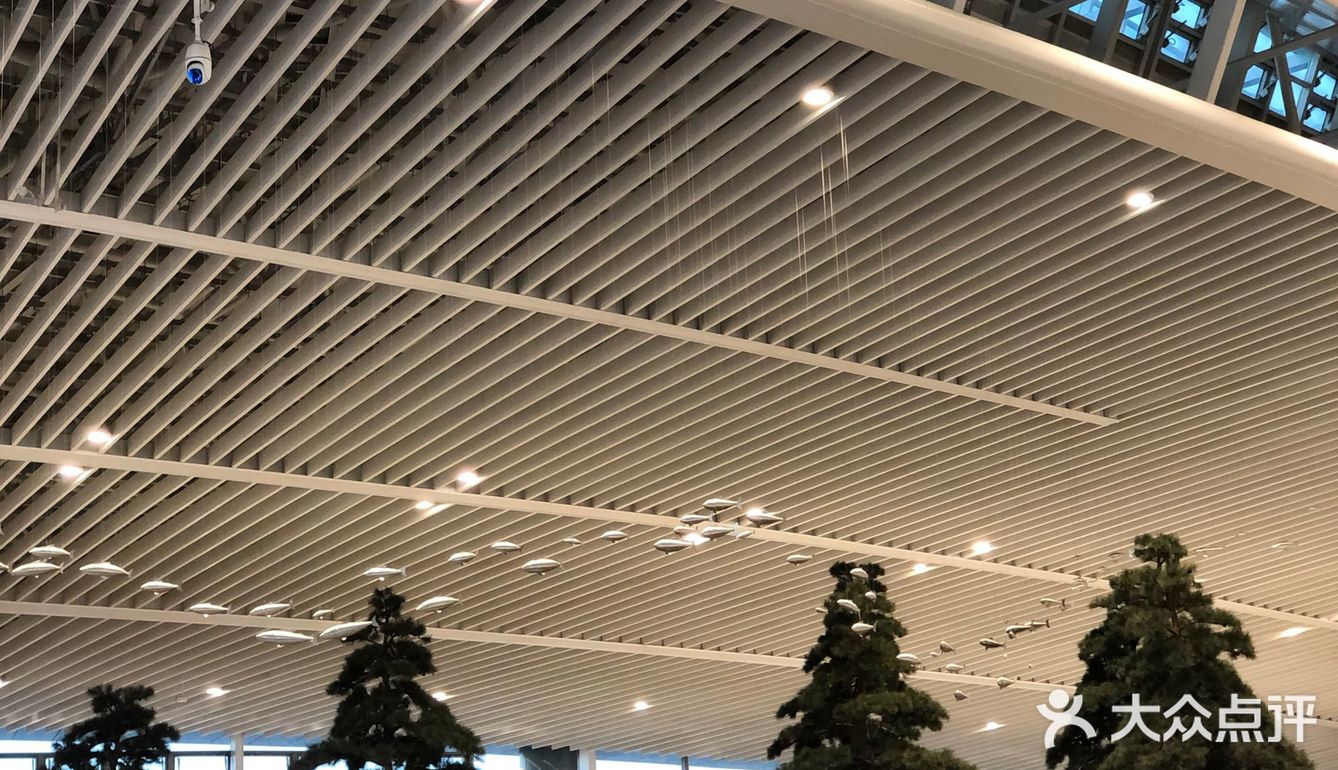 🔒解锁青岛胶东机场✈️