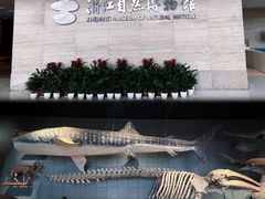 -浙江自然博物院(杭州馆)