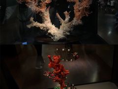 -台北故宫博物院