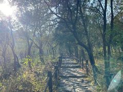 -阳台山自然风景区