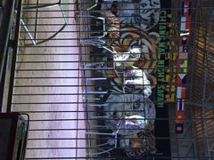 iphone_upload_pic-清迈夜间动物园