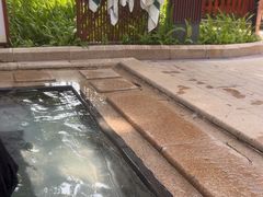 -碧水湾温泉
