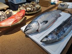 蓝点马鲛鱼-达摩君日本料理(泰海花园小区店)