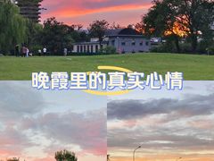 -博雅塔