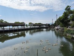 -东钱湖小普陀景区
