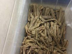 -正宗忘不了老鹅(梅岭店)