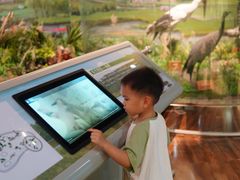 -陕西自然博物馆