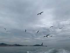 -长岛大黑山岛