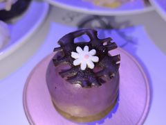 -萧邦音乐会所KTV·蒸汽活海鲜自助(福田店)