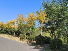 -红山国家森林公园