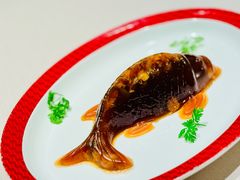 -圆苑(兴国路店)