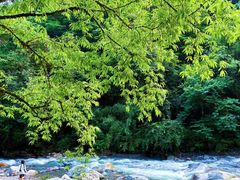 -西岭雪山大飞水景区