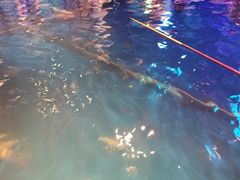 -钳真多钓虾馆·小龙虾海鲜烧烤(九六广场店)