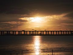 -宝安西湾红树林湿地公园