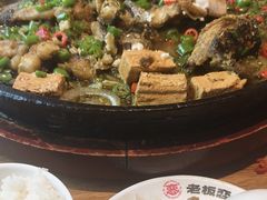 -老板恋上鱼(恒隆广场店)