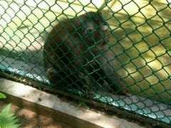 -广东茂名森林公园